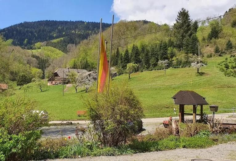 Schwarzwald Idyll Oberharmersbach Eksteriør billede